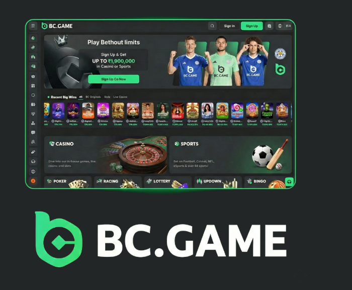 Ultimate BC.Game Bonus Guide Maximize Your Rewards Ultimate BC.Game Bonus Guide Maximize Your Rewards